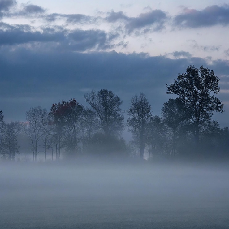 PSD une vue sereine de la brume roulant à travers une forêt verte luxuriante dans les montagnes du jura français le brouillard ajoute