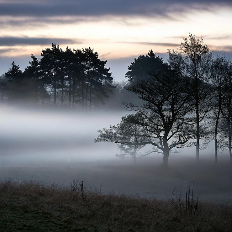 PSD une vue sereine de la brume roulant à travers une forêt verte luxuriante dans les montagnes du jura français le brouillard ajoute