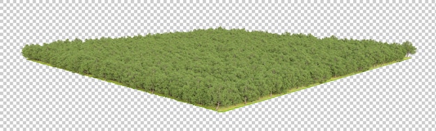 Wald auf transparentem hintergrund 3d-darstellung