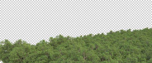 Wald auf transparentem hintergrund 3d-darstellung