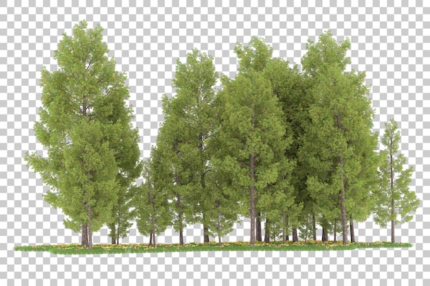 Wald auf transparentem hintergrund. 3d-rendering - abbildung