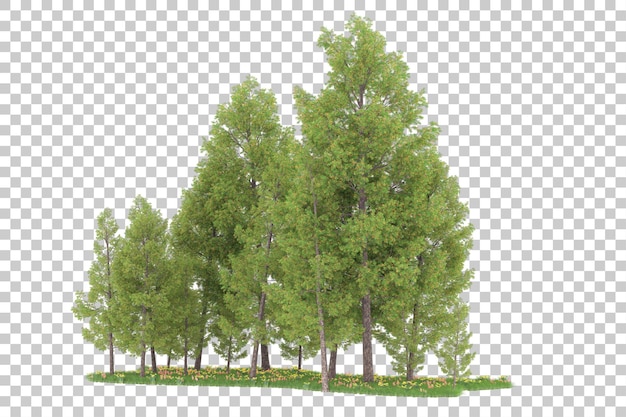 Wald auf transparentem Hintergrund. 3D-Rendering - Abbildung