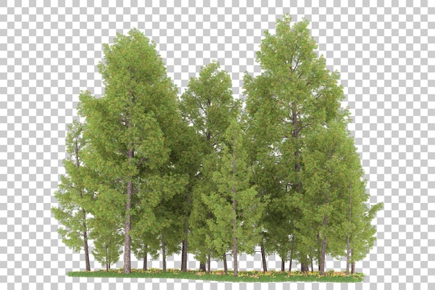 Wald auf transparentem Hintergrund. 3D-Rendering - Abbildung