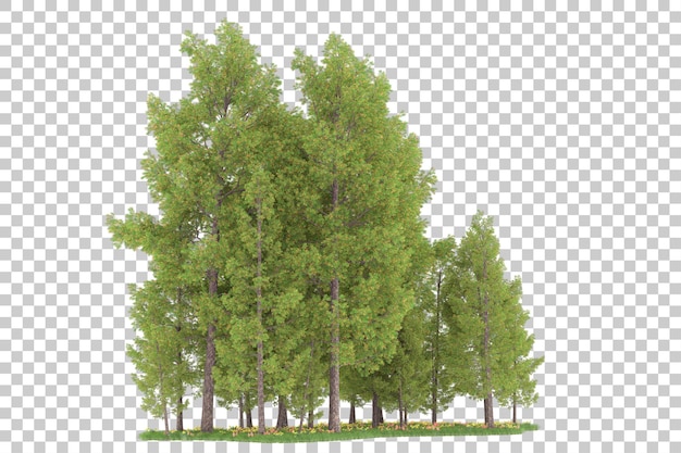 Wald auf transparentem Hintergrund. 3D-Rendering - Abbildung