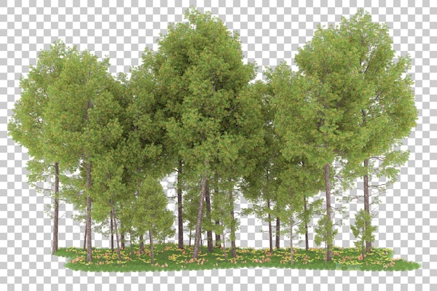 Wald auf transparentem Hintergrund. 3D-Rendering - Abbildung