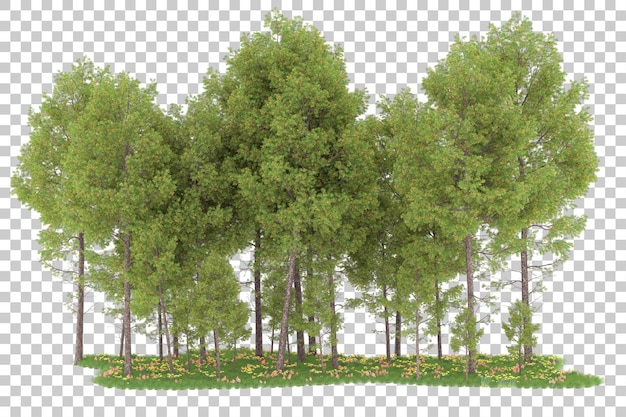 PSD wald auf transparentem hintergrund. 3d-rendering - abbildung