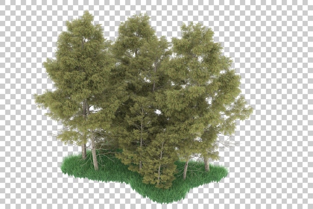 Wald auf transparentem Hintergrund. 3D-Rendering - Abbildung