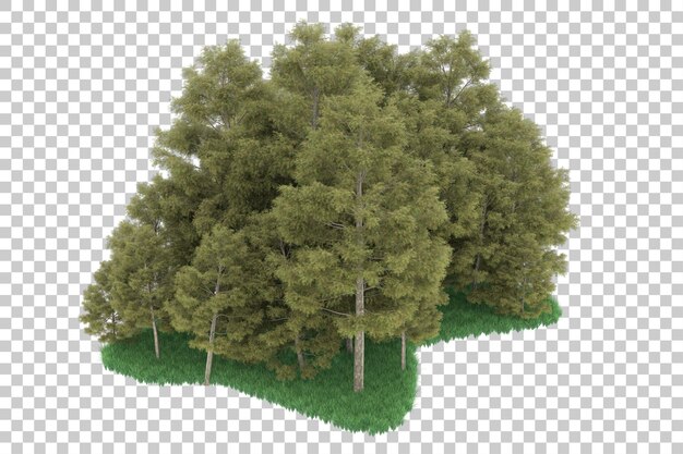 Wald auf transparentem hintergrund. 3d-rendering - abbildung