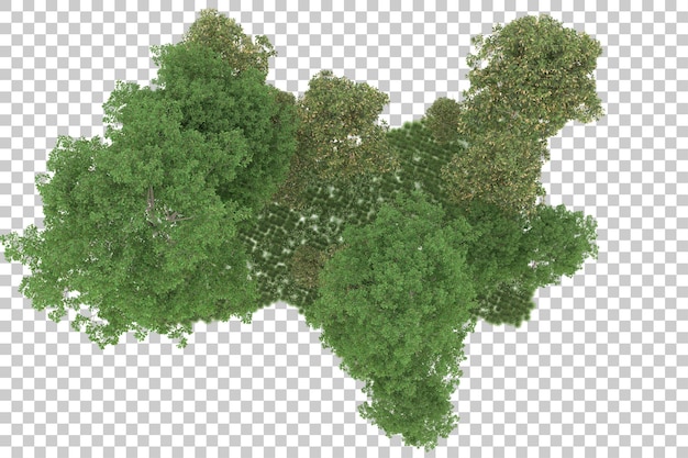 Wald auf transparentem Hintergrund. 3D-Rendering - Abbildung