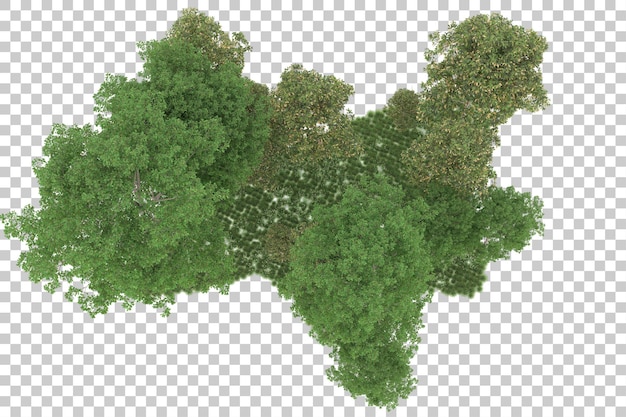 PSD wald auf transparentem hintergrund. 3d-rendering - abbildung