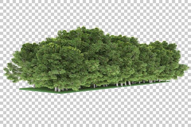 Wald auf transparentem hintergrund. 3d-rendering - abbildung