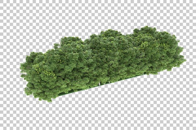 Wald auf transparentem Hintergrund. 3D-Rendering - Abbildung