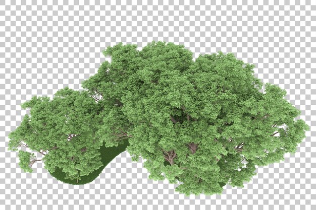 Wald auf transparentem Hintergrund. 3D-Rendering - Abbildung