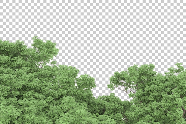 Wald auf transparentem Hintergrund. 3D-Rendering - Abbildung