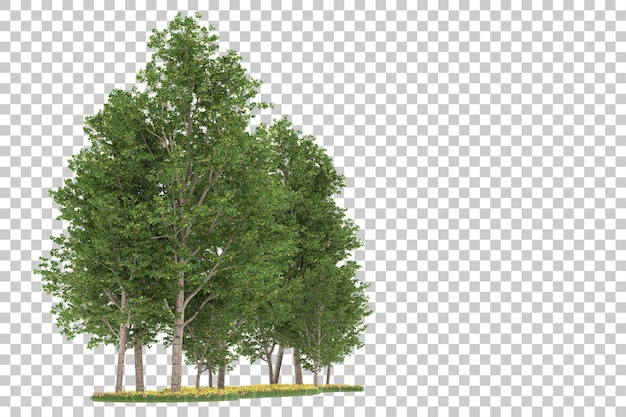 Wald auf transparentem Hintergrund. 3D-Rendering - Abbildung