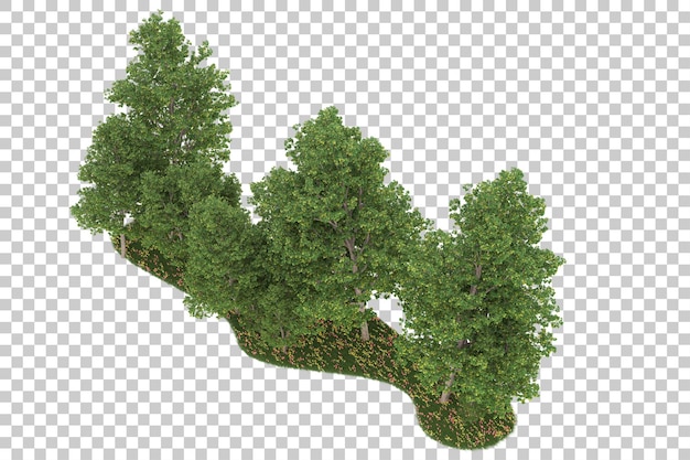 Wald auf transparentem Hintergrund. 3D-Rendering - Abbildung