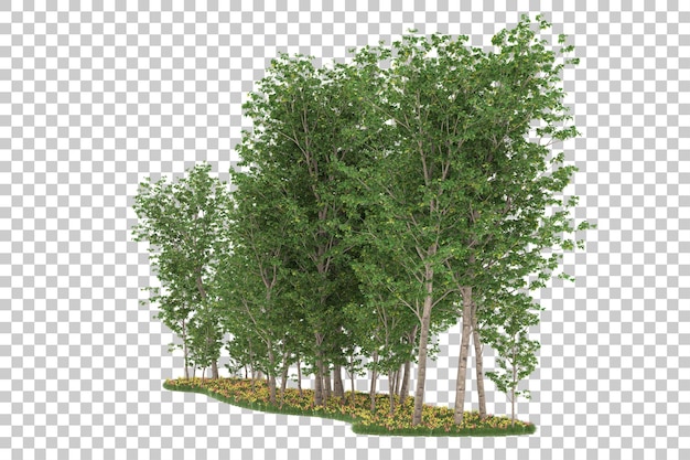 Wald auf transparentem hintergrund. 3d-rendering - abbildung