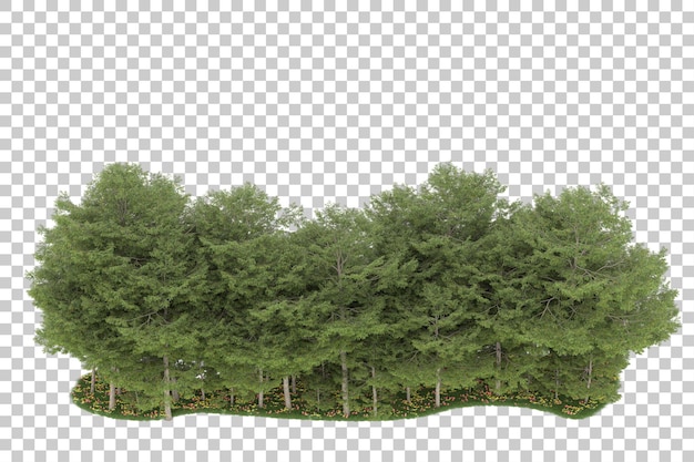 Wald auf transparentem Hintergrund. 3D-Rendering - Abbildung