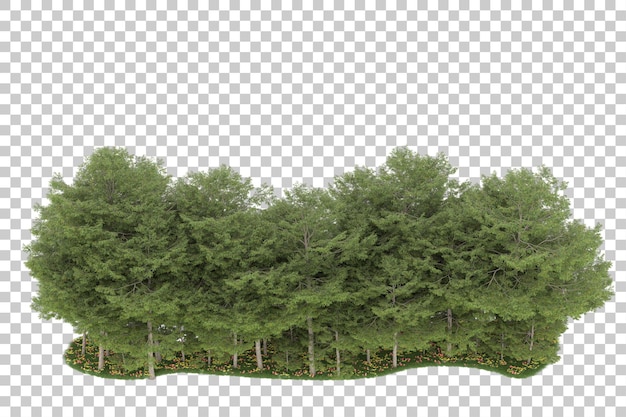 PSD wald auf transparentem hintergrund. 3d-rendering - abbildung