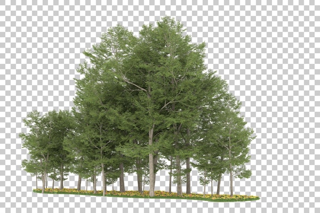 Wald auf transparentem hintergrund. 3d-rendering - abbildung