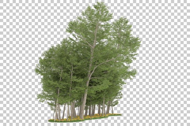Wald auf transparentem Hintergrund. 3D-Rendering - Abbildung