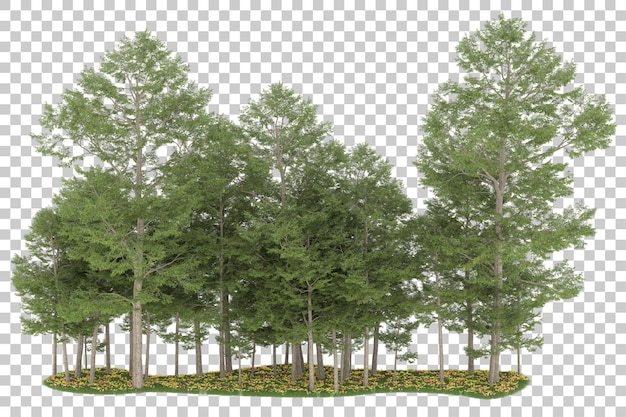 Wald auf transparentem Hintergrund. 3D-Rendering - Abbildung