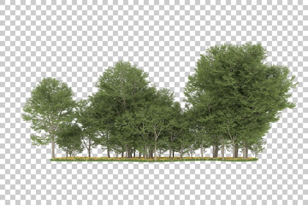 Wald auf transparentem Hintergrund. 3D-Rendering - Abbildung