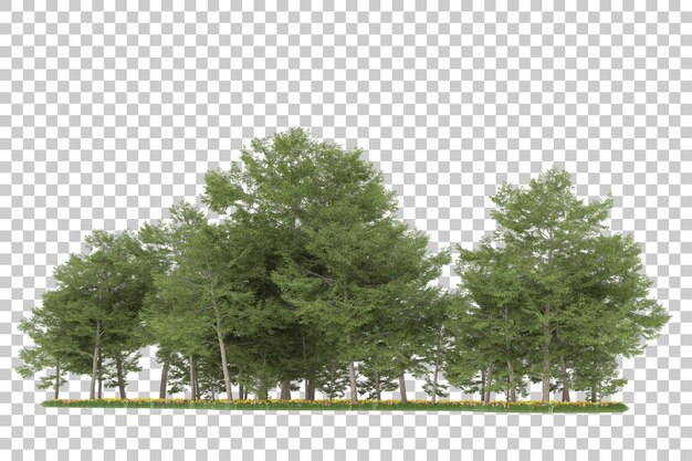 Wald auf transparentem hintergrund. 3d-rendering - abbildung