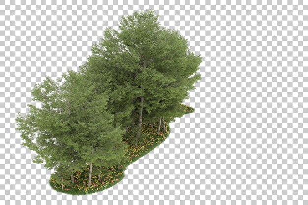 Wald auf transparentem Hintergrund. 3D-Rendering - Abbildung