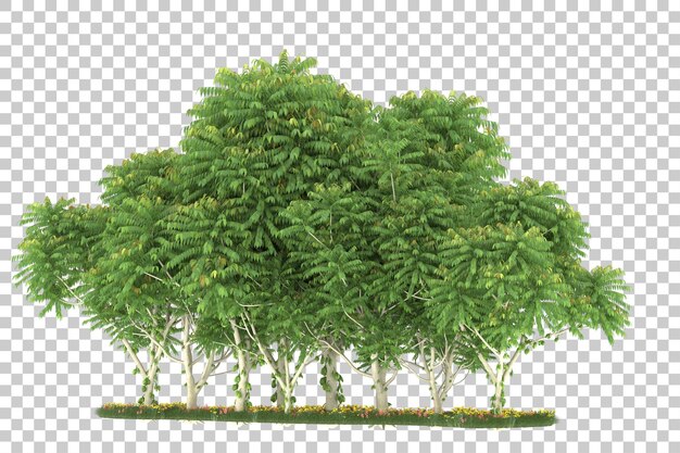 Wald auf transparentem Hintergrund. 3D-Rendering - Abbildung