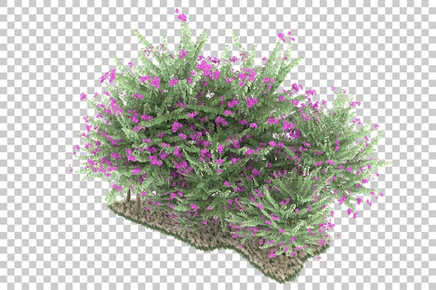 Wald auf transparentem Hintergrund. 3D-Rendering - Abbildung