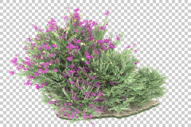 Wald auf transparentem Hintergrund. 3D-Rendering - Abbildung