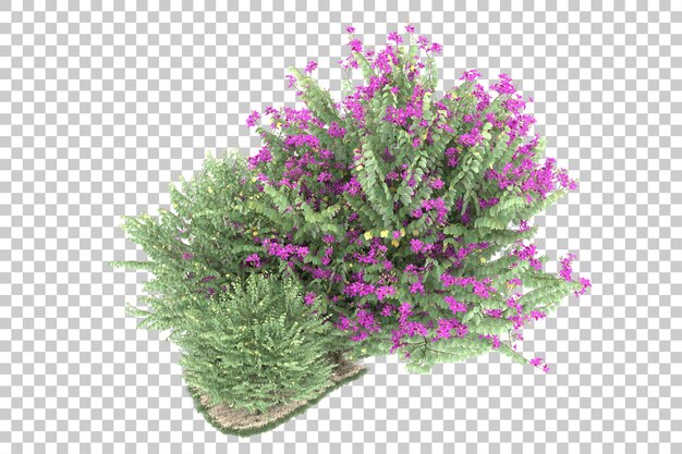 Wald auf transparentem Hintergrund. 3D-Rendering - Abbildung