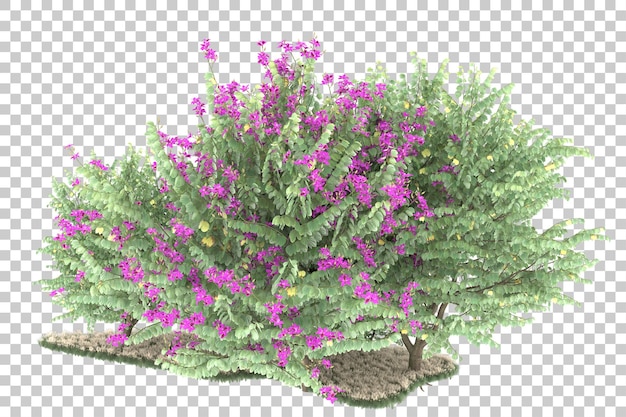 Wald auf transparentem Hintergrund. 3D-Rendering - Abbildung