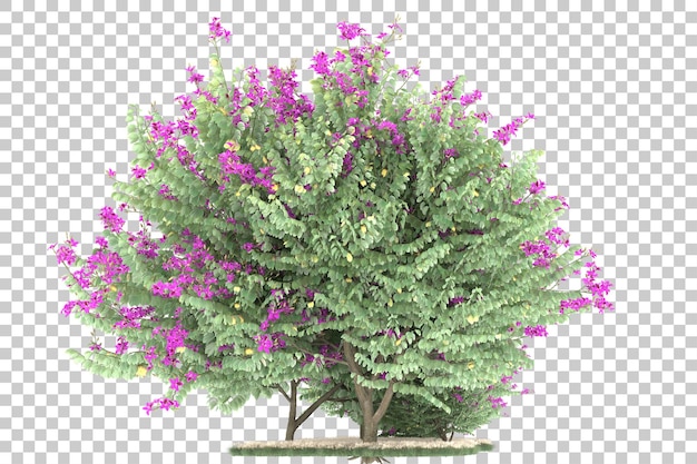Wald auf transparentem Hintergrund. 3D-Rendering - Abbildung