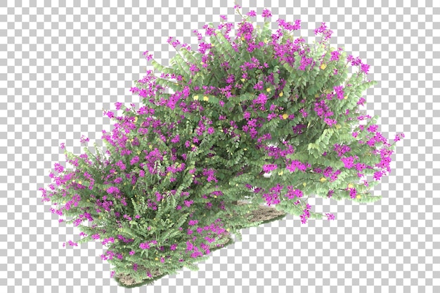 Wald auf transparentem Hintergrund. 3D-Rendering - Abbildung