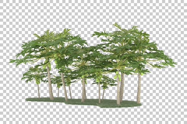 Wald auf transparentem Hintergrund. 3D-Rendering - Abbildung