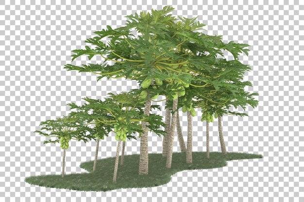Wald auf transparentem Hintergrund. 3D-Rendering - Abbildung