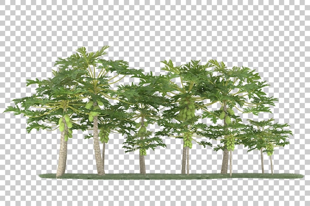 Wald auf transparentem Hintergrund. 3D-Rendering - Abbildung