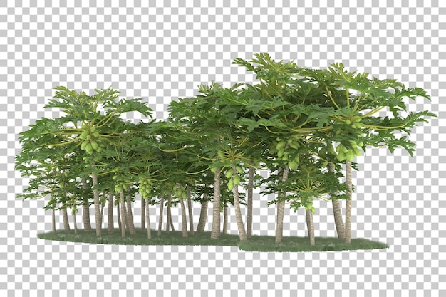 Wald auf transparentem Hintergrund. 3D-Rendering - Abbildung