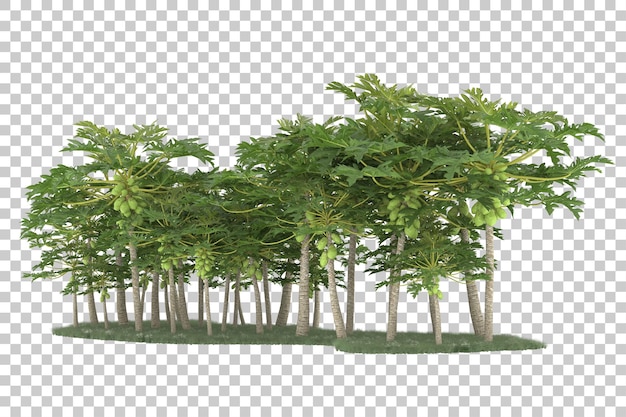 Wald auf transparentem hintergrund. 3d-rendering - abbildung