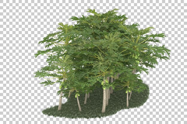 Wald auf transparentem Hintergrund. 3D-Rendering - Abbildung