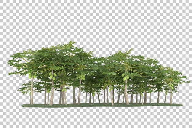Wald auf transparentem Hintergrund. 3D-Rendering - Abbildung