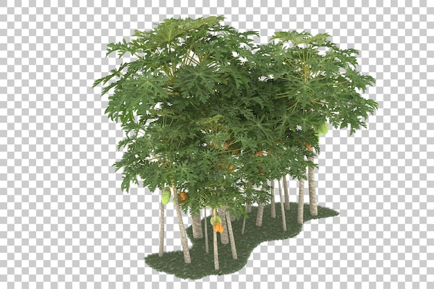 Wald auf transparentem Hintergrund. 3D-Rendering - Abbildung