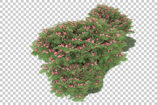 Wald auf transparentem Hintergrund. 3D-Rendering - Abbildung