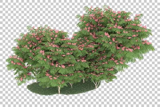 Wald auf transparentem Hintergrund. 3D-Rendering - Abbildung