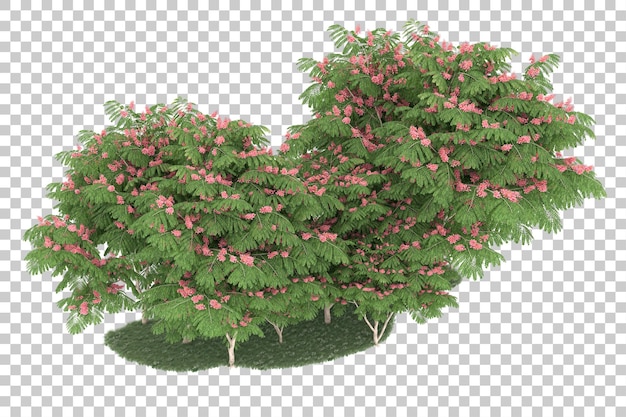 Wald auf transparentem hintergrund. 3d-rendering - abbildung