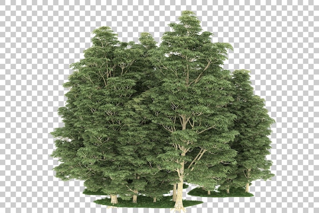 Wald auf transparentem Hintergrund. 3D-Rendering - Abbildung