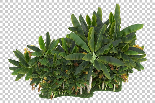 Wald auf transparentem Hintergrund. 3D-Rendering - Abbildung
