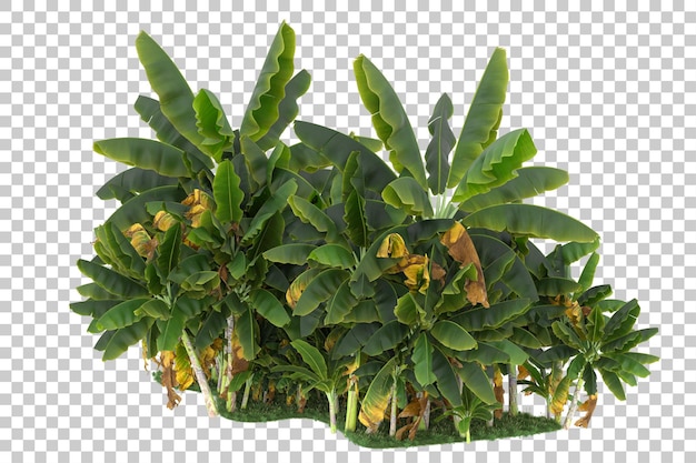 Wald auf transparentem Hintergrund. 3D-Rendering - Abbildung